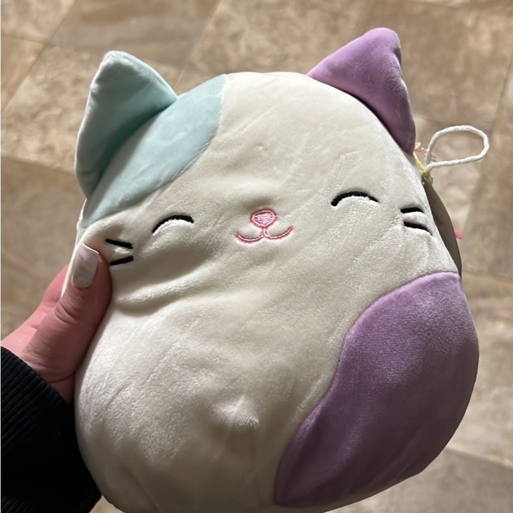 Squishmallow cat